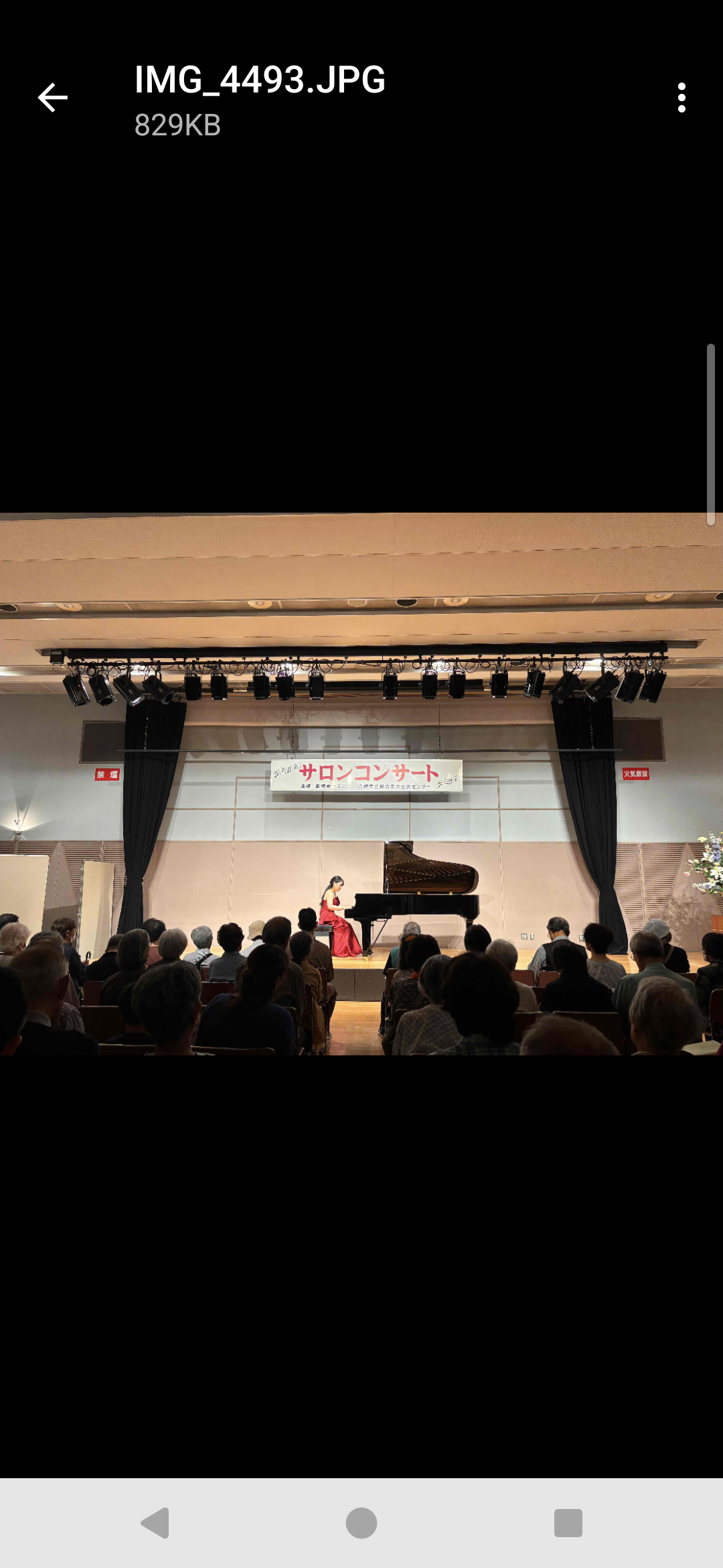 サロンコンサート 風景